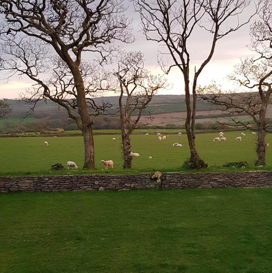Appleton House Bed & Breakfast Thornbury  Bagian luar foto